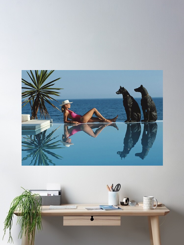 Retro Poolside Host Luxury Lif - Luxury Lifestyle Homes recension och pris