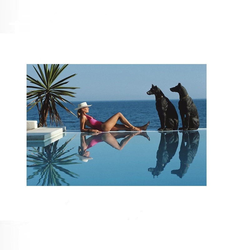Retro Poolside Host Luxury Lif - Luxury Lifestyle Homes recension och pris